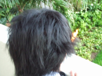 体張ってます